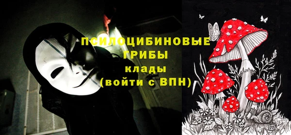 амф Корсаков