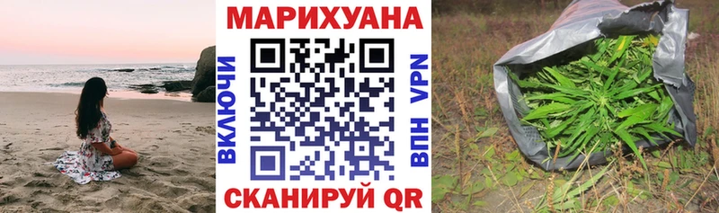 Конопля план  Купить  Смоленск 